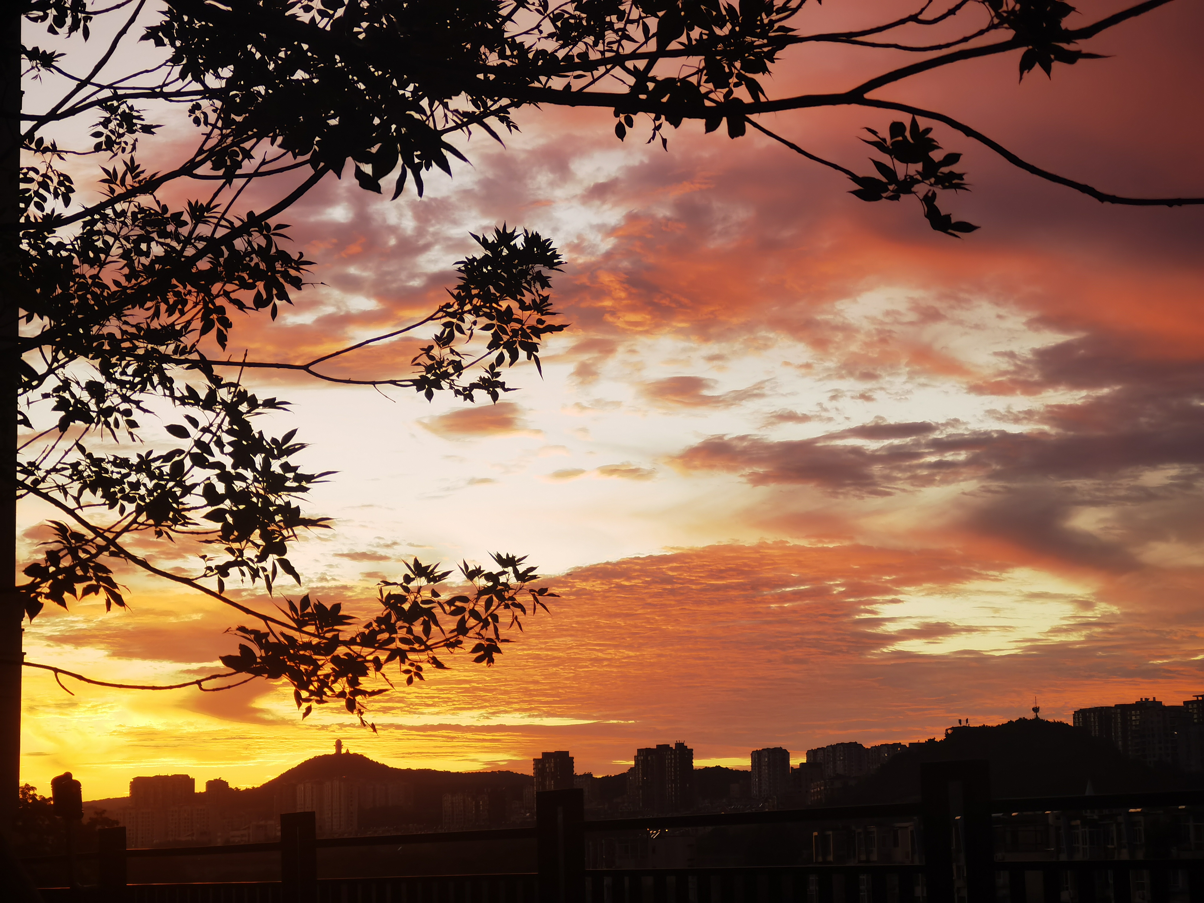 NISA新制度完全解读:2025年投资免税新时代